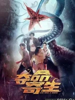 电视剧长夜行舟封面